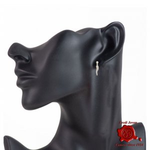 Orecchini Cornetto Portafortuna Argento 2