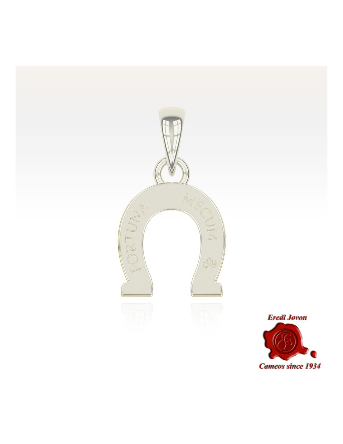 Silver Horse Shoe Amulet Silver Horse Shoe Amulet