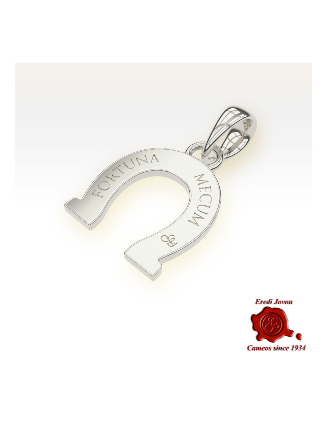 Silver Horse Shoe Amulet Silver Horse Shoe Amulet