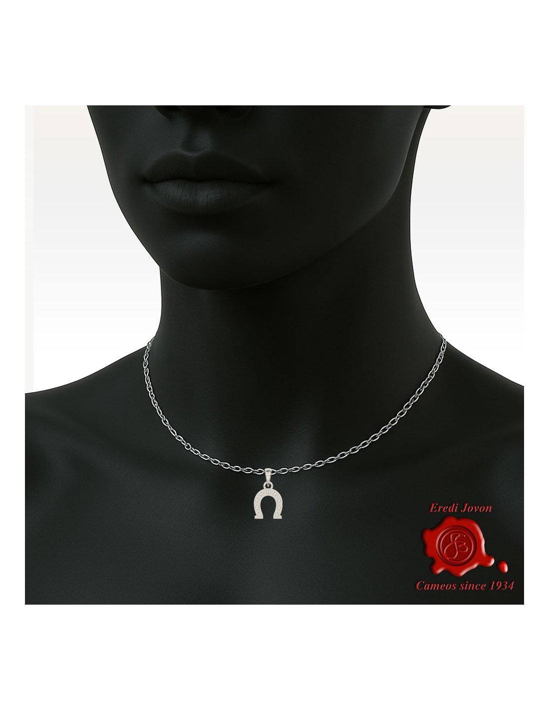 Silver Horse Shoe Amulet Silver Horse Shoe Amulet