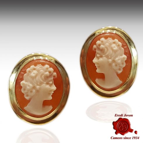Shell Cameo Gold Earrings Studs