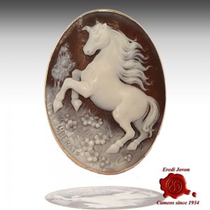 Shell Horse Pegasus Cameo Gold