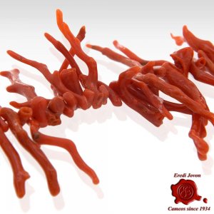 Collana Rametti Corallo Rosso 2