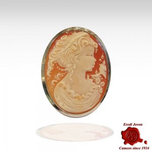 Minerva Shell Cameo Brooch