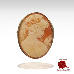 Edwardian Shell Cameo Brooch and Pendant