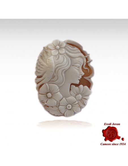 Cameo Brooch Brown Shell