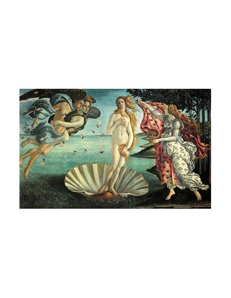 Birth of Venus Botticelli 