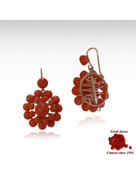 Antique Sciacca Coral Earrings in Gold