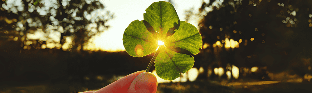 Il Quadrifoglio: un dono raro che parla al cuore